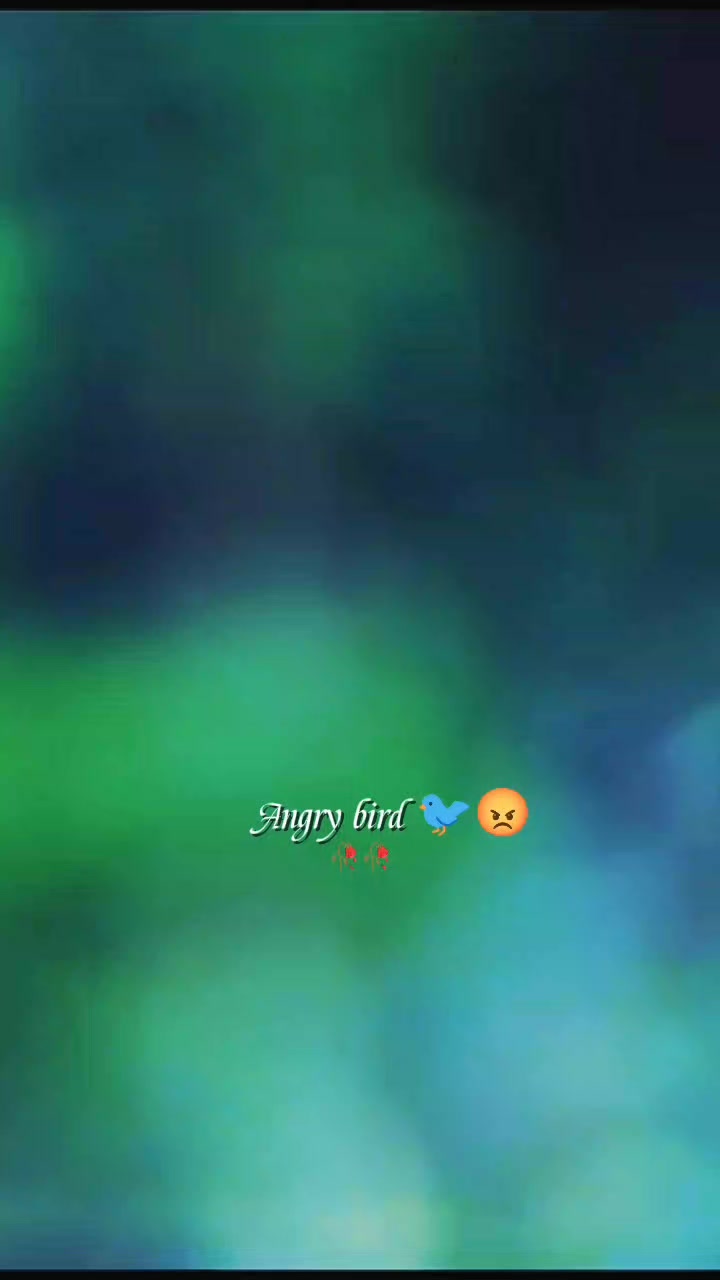 @💫𝖆𝖓𝖌𝖗𝖞 𝖇𝖎𝖗𝖉𝖘💫💥