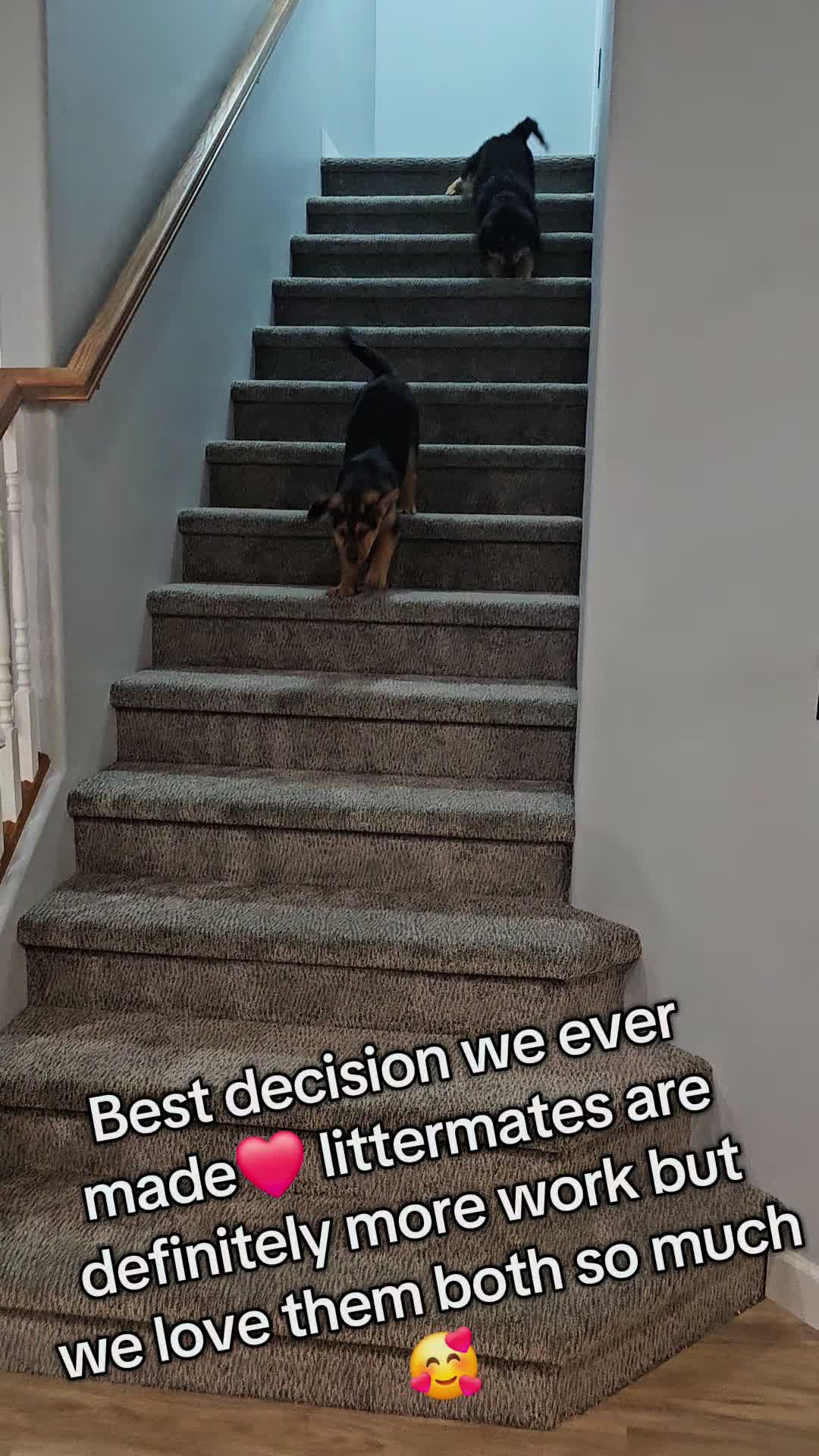 @Sam
