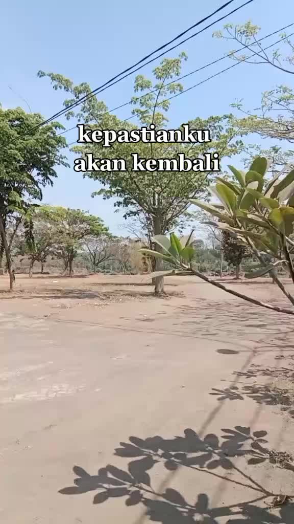 @alimuhsin74