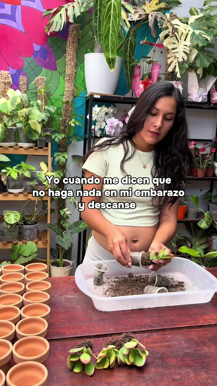 @arianacarrascolopez
