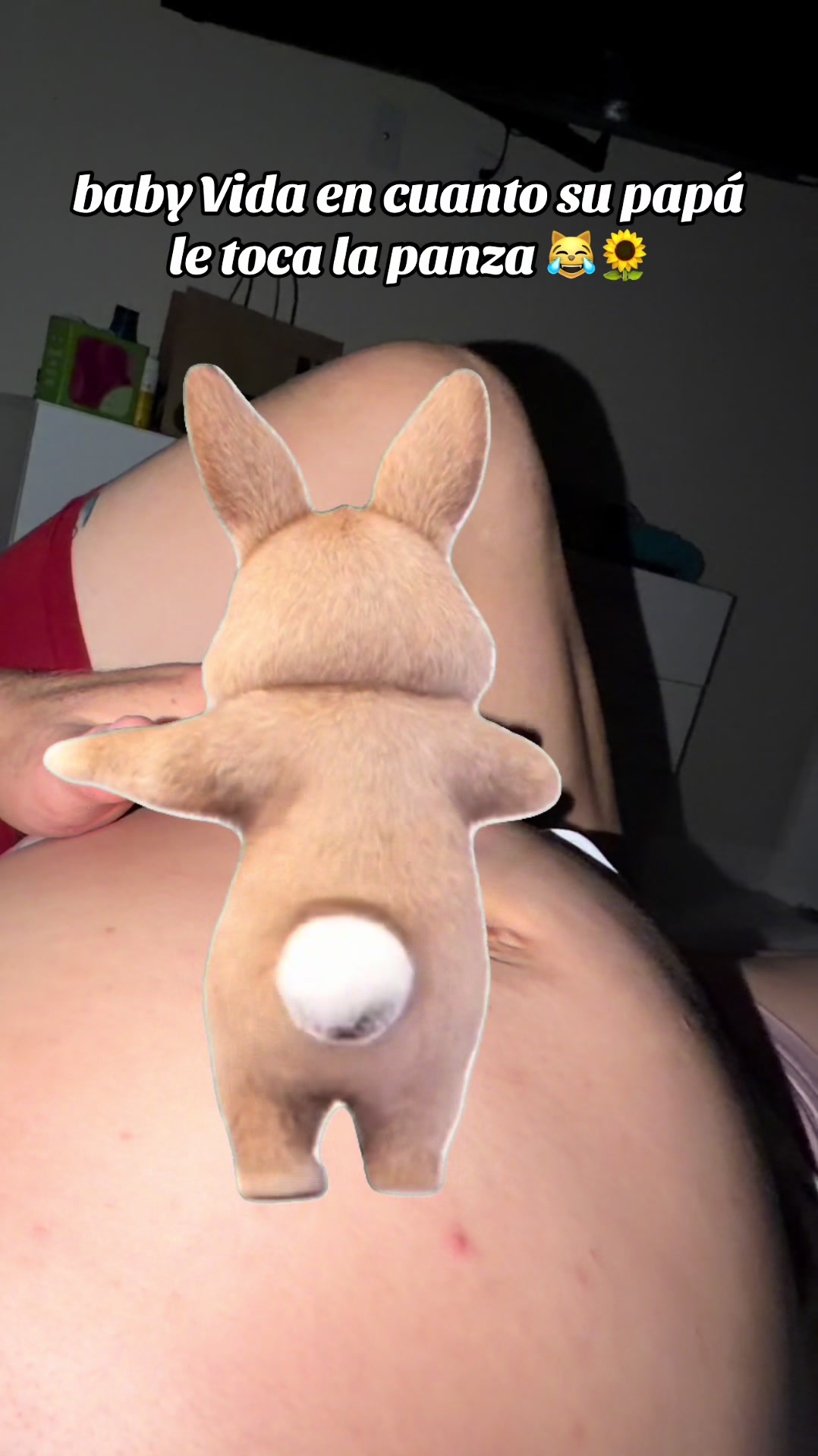 @d_reytor