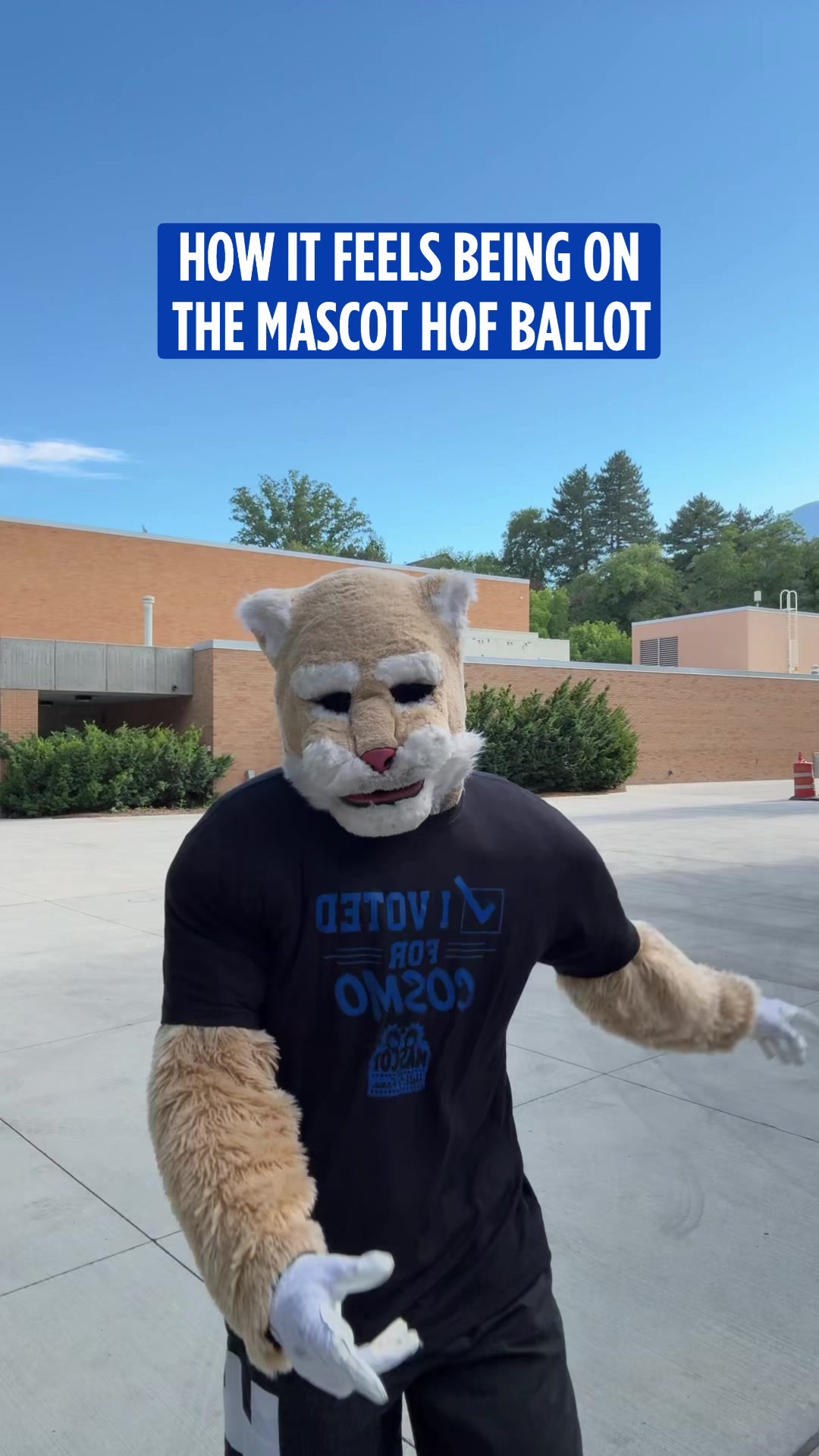 @Cosmo the Cougar