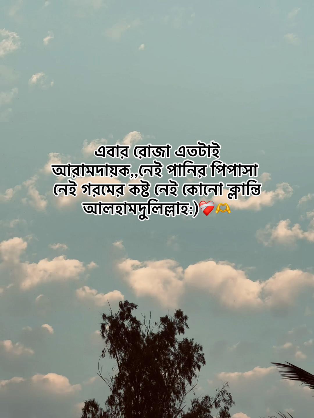 @-ᴅᴀɪꜱʏ-🌼