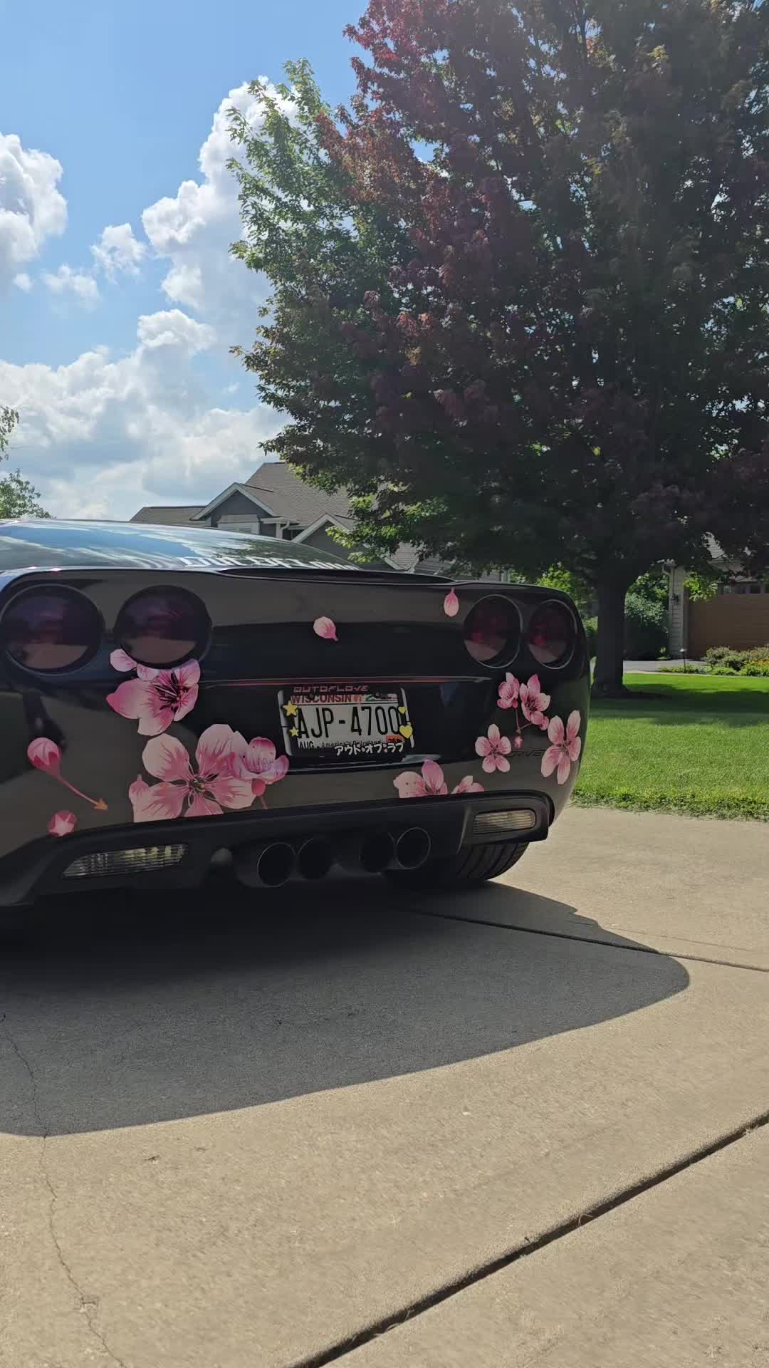 @AnimeVette