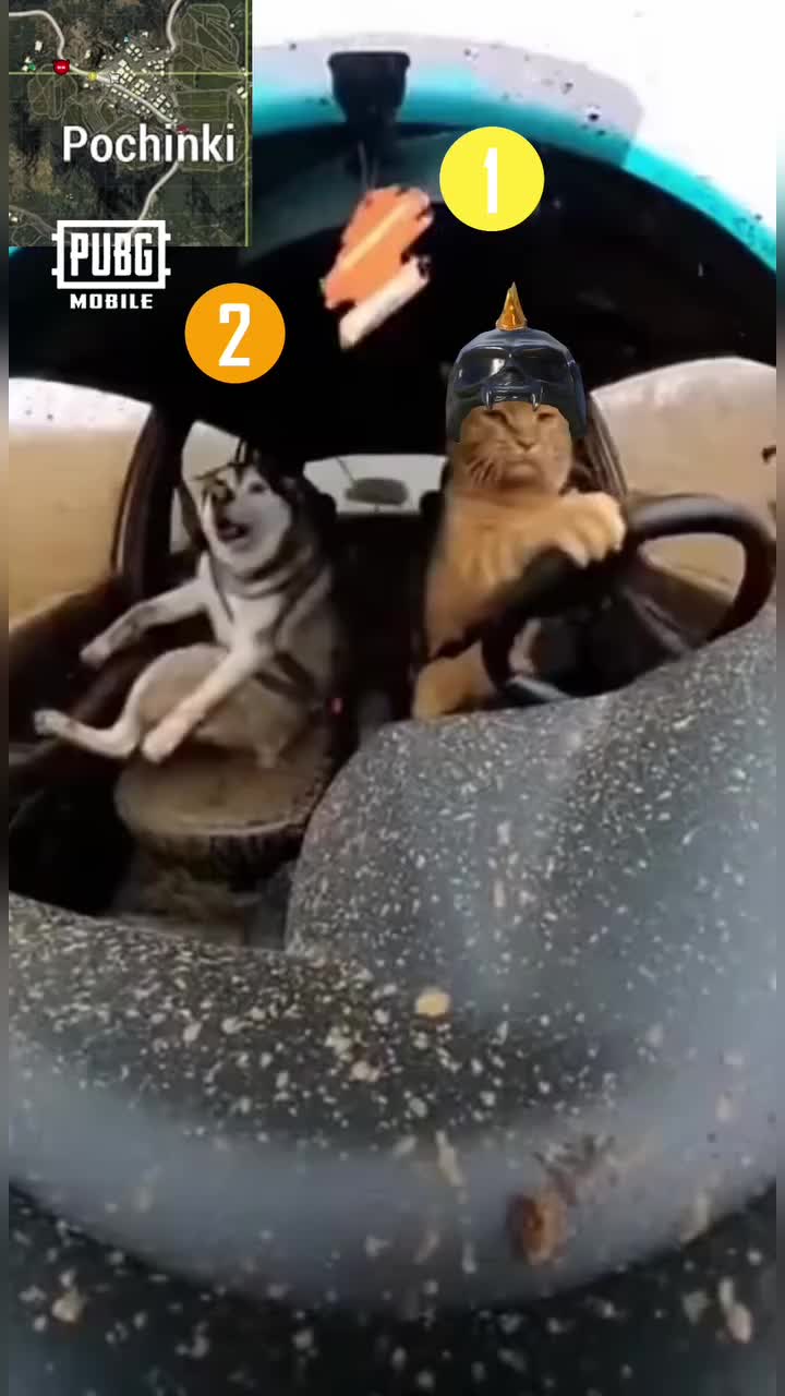@๐ฅ