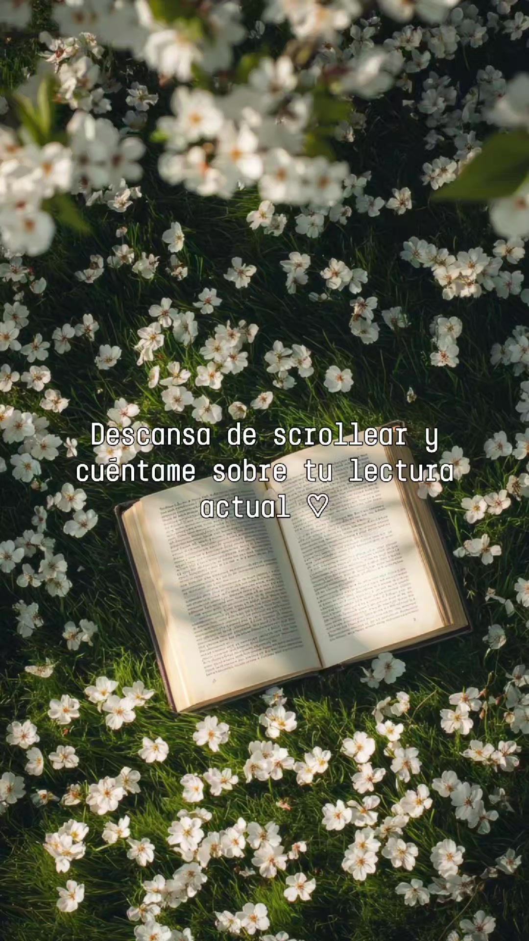 @Samy 📚✨️