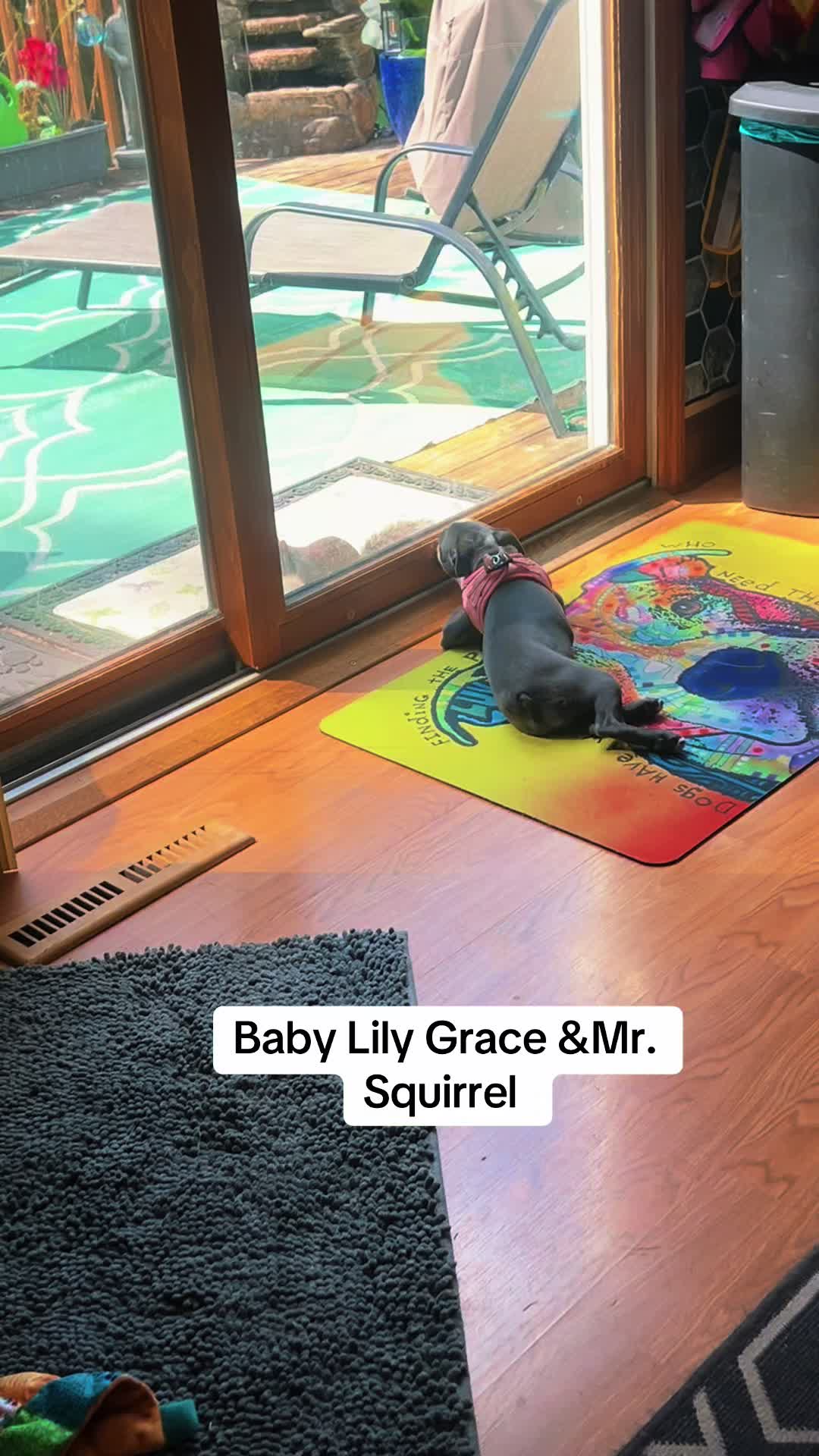 @Lily Grace &Loganbowties