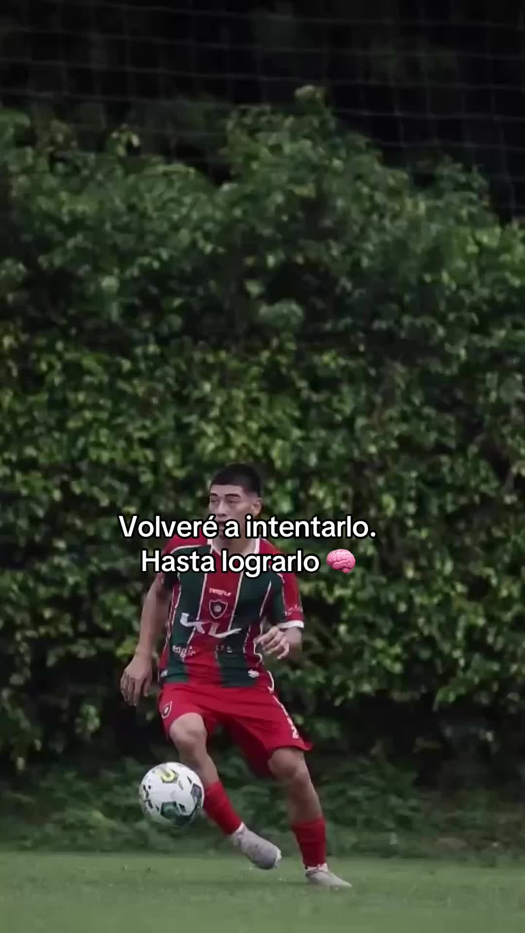 @angelcristaldo10