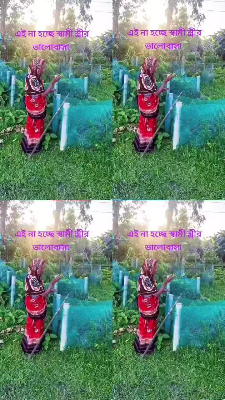 @🪽ᴹʳˢt᭄ғᴀʜɪᴍᴀ࿐🪽
