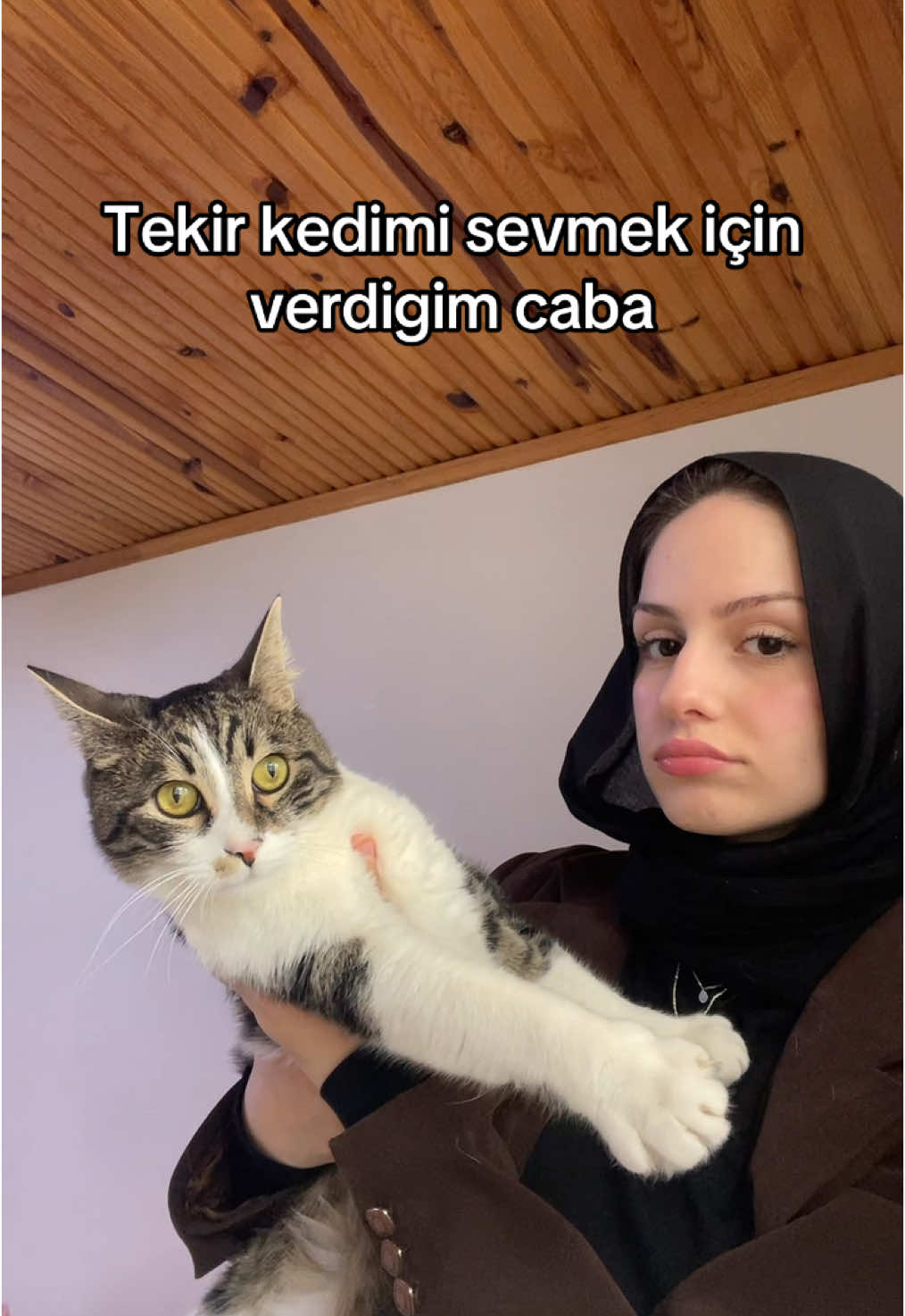 @silaciceekk