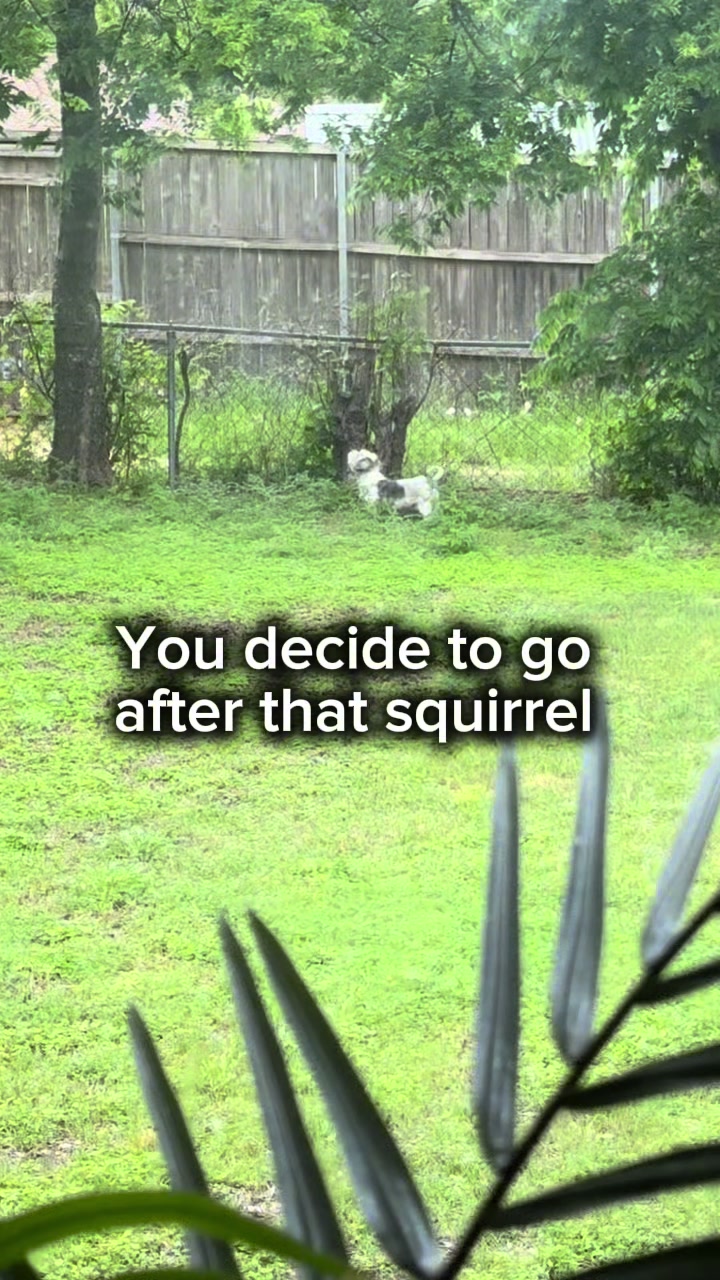 @Harley & Stormy