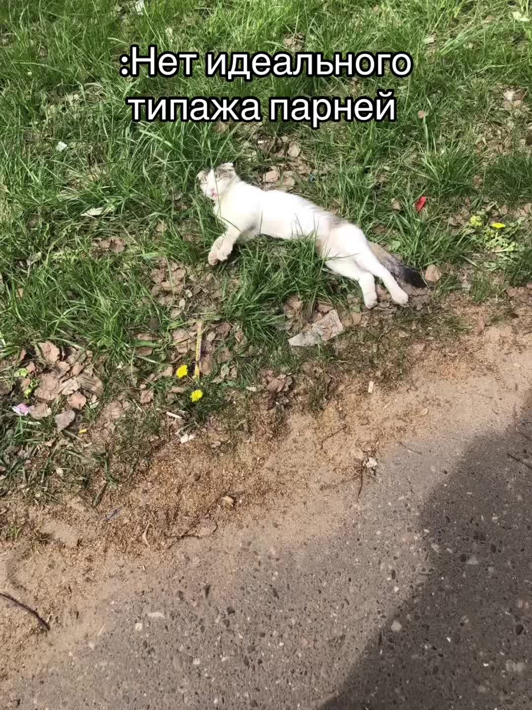 @ралинка💕