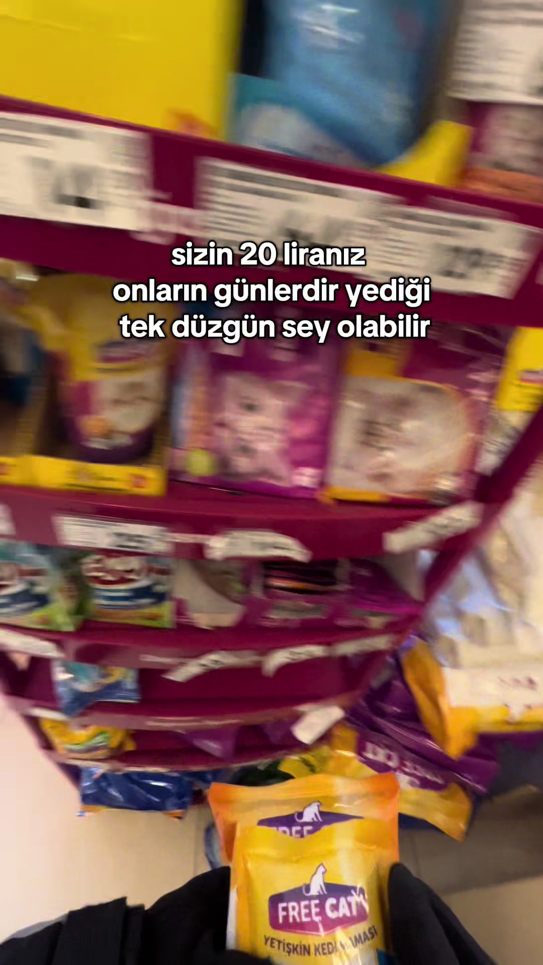 @enes_8.6