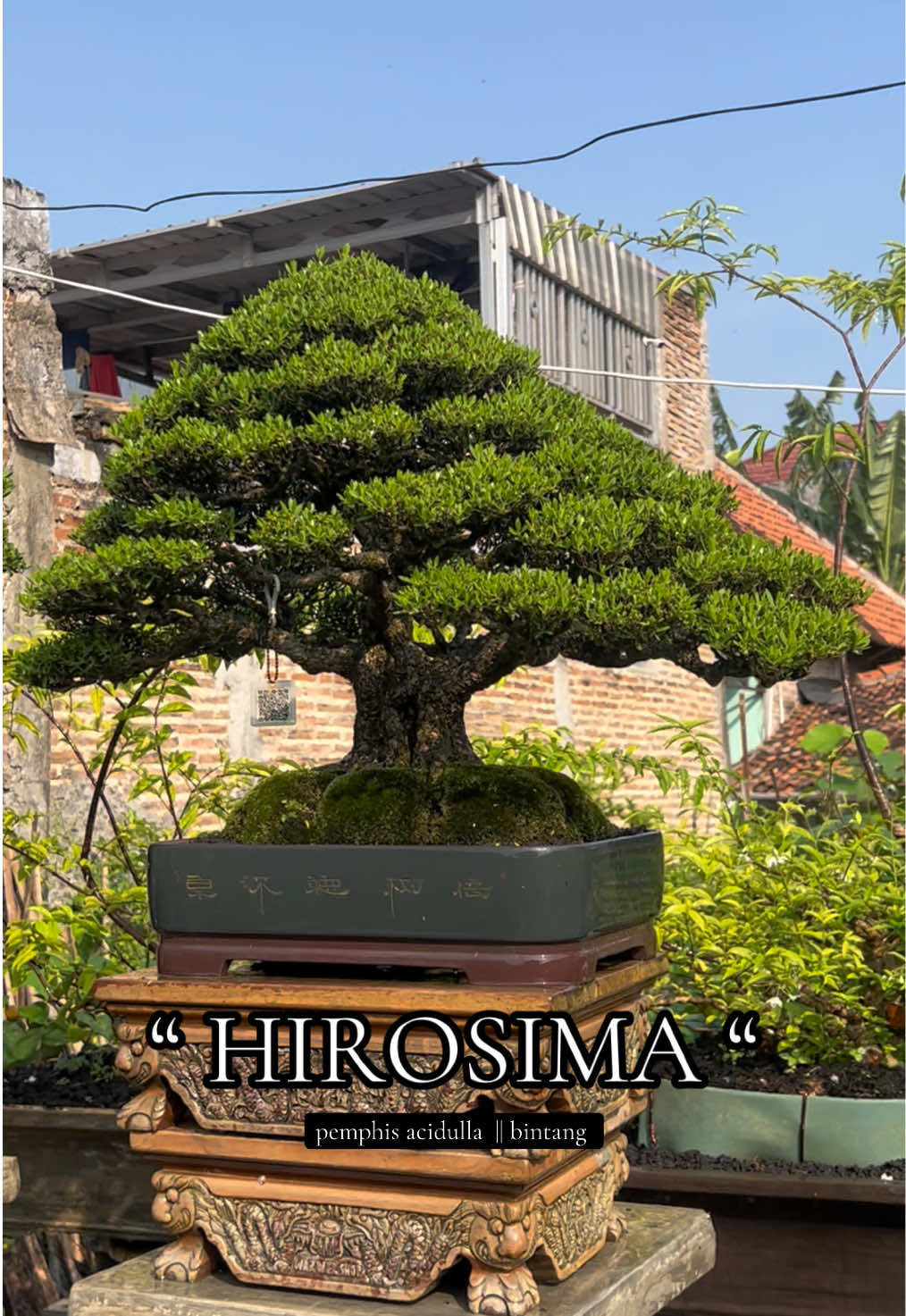 @warbonsai_purwodadi