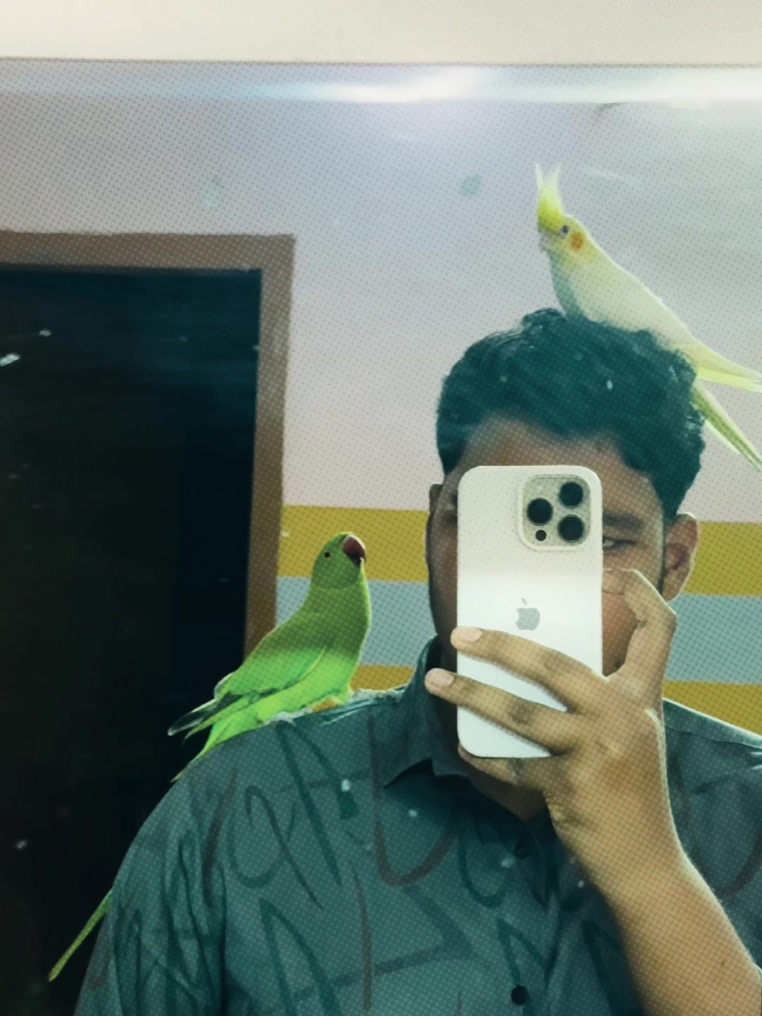 @𝑩𝒊𝒓𝒅𝒔 𝑯𝒐𝒃𝒃𝒚