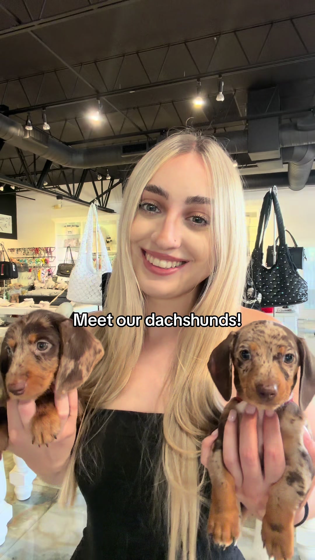 @TeaCups, Puppies & Boutique &reg;️