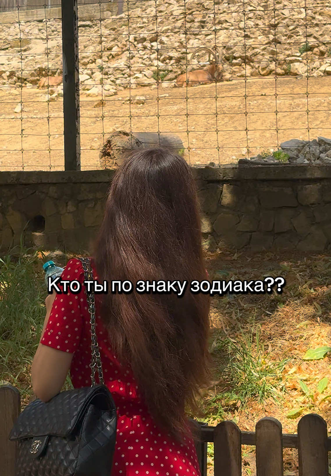 @alina_bobeica
