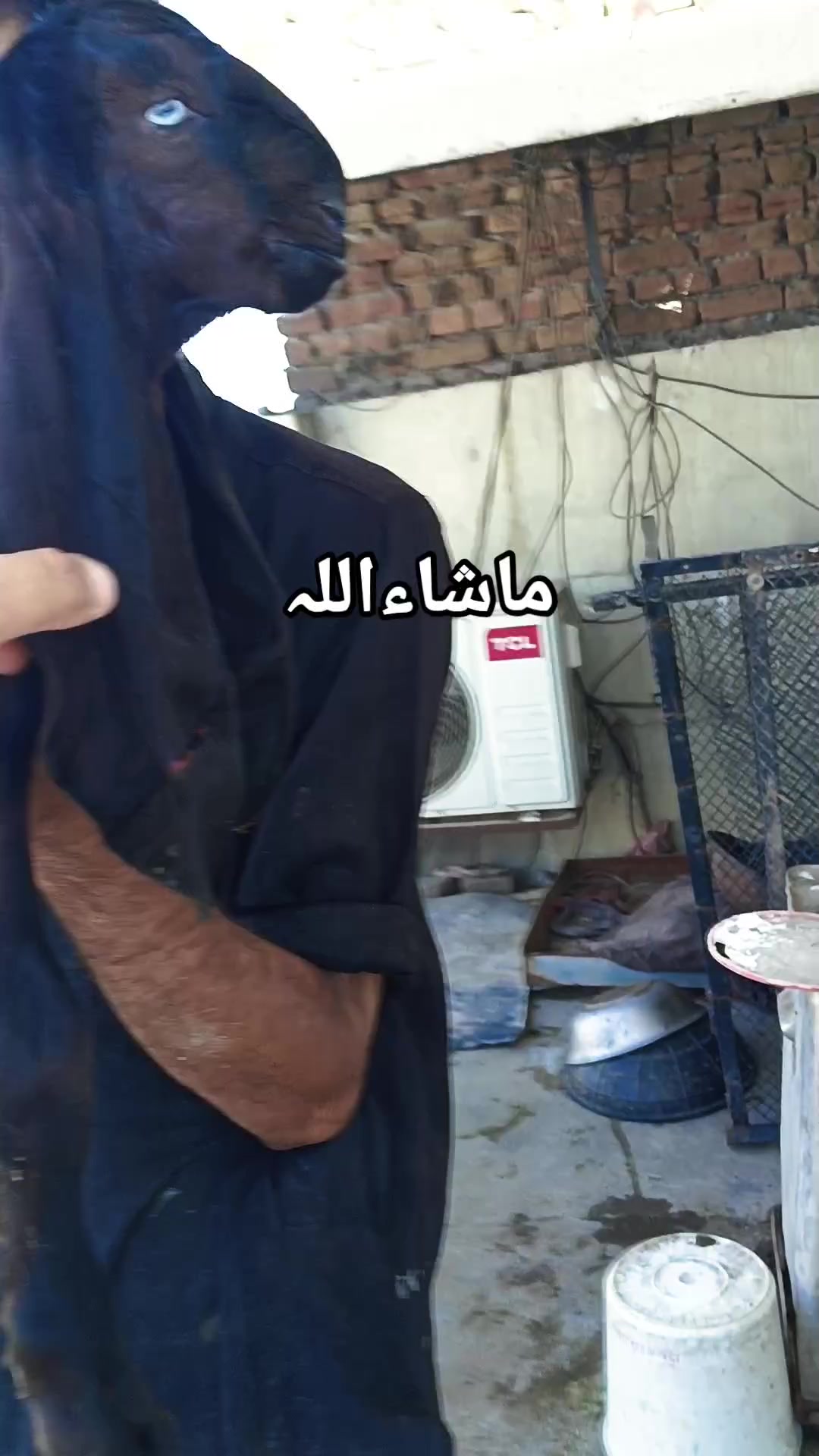 @abubakar Rajpoot