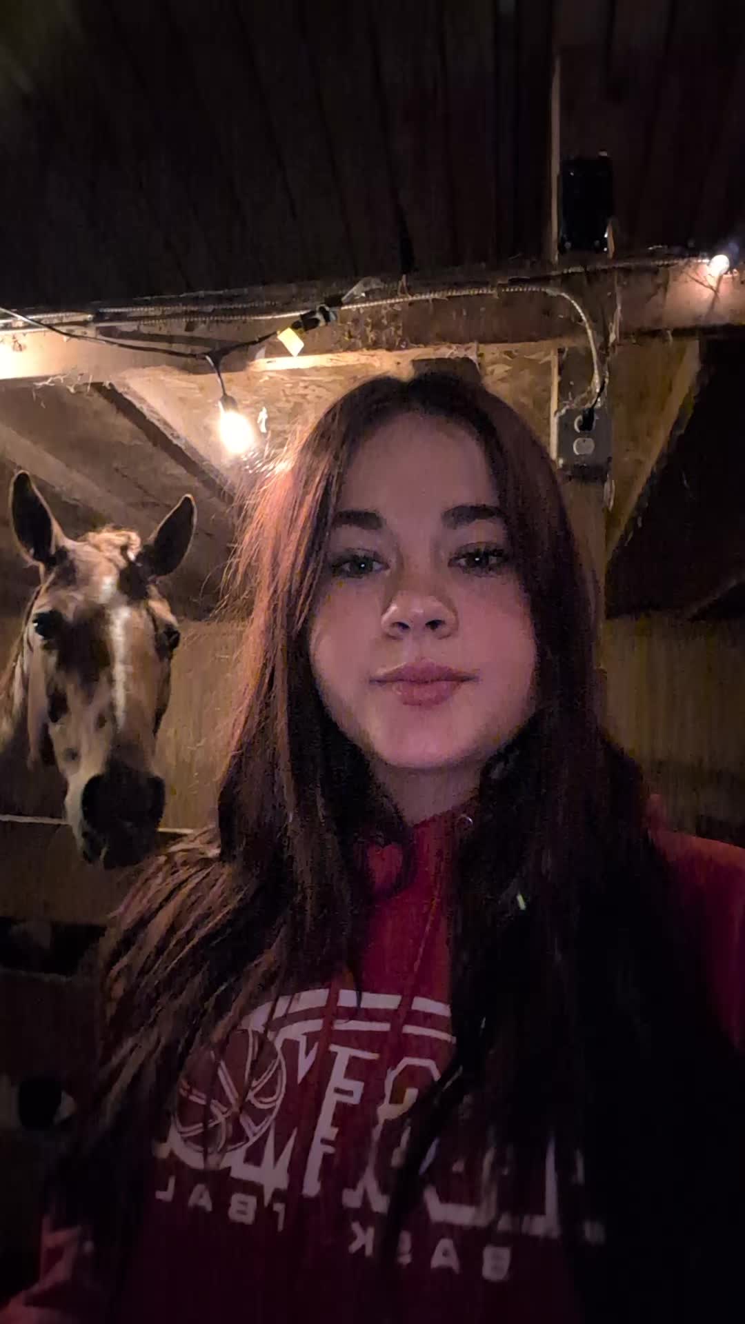 @stellsspam