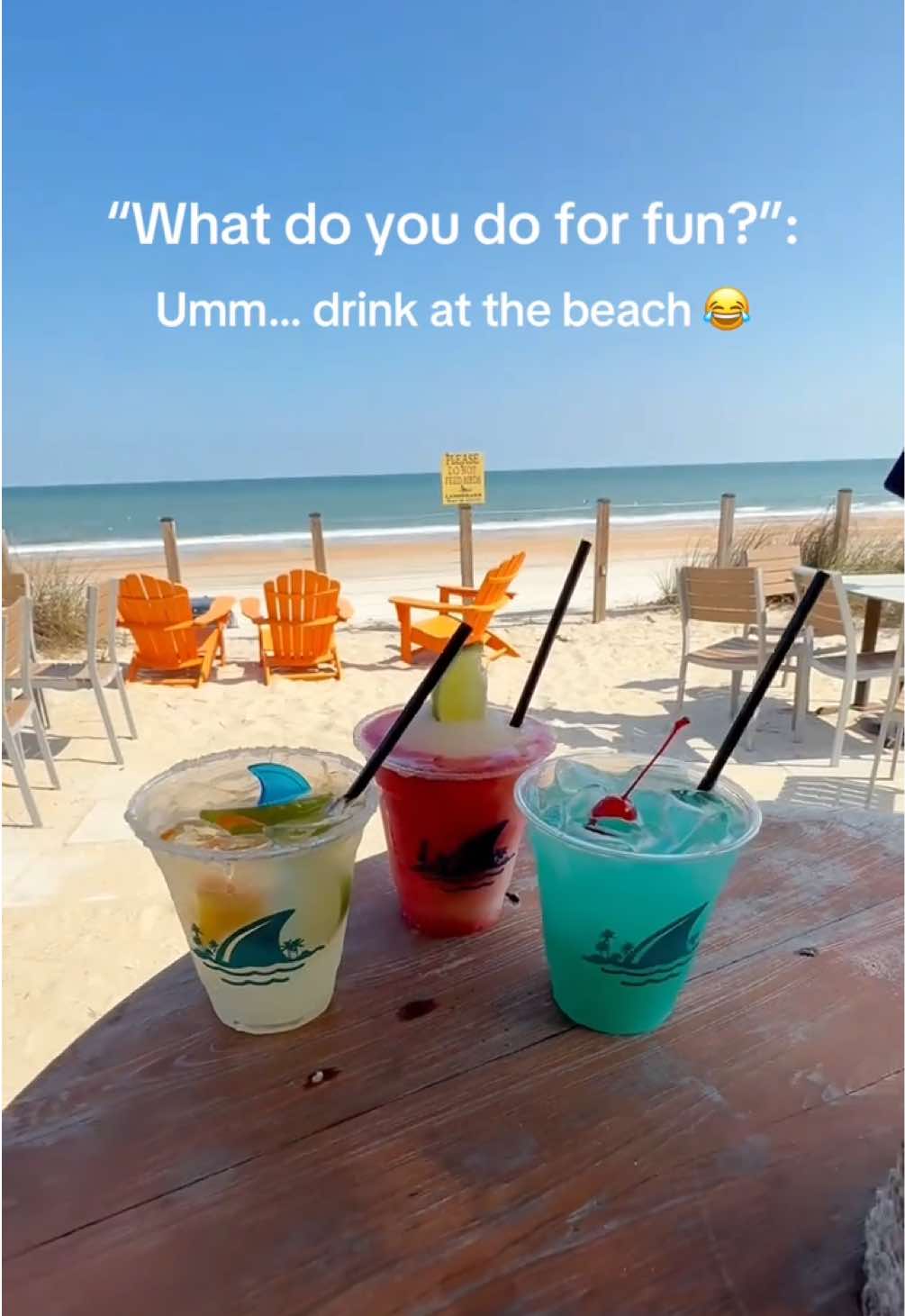 @LandShark Bar & Grill