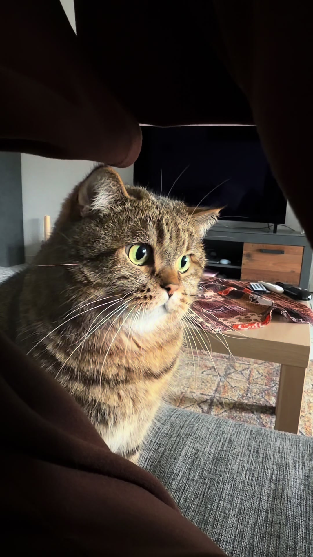 @Джоні 😻