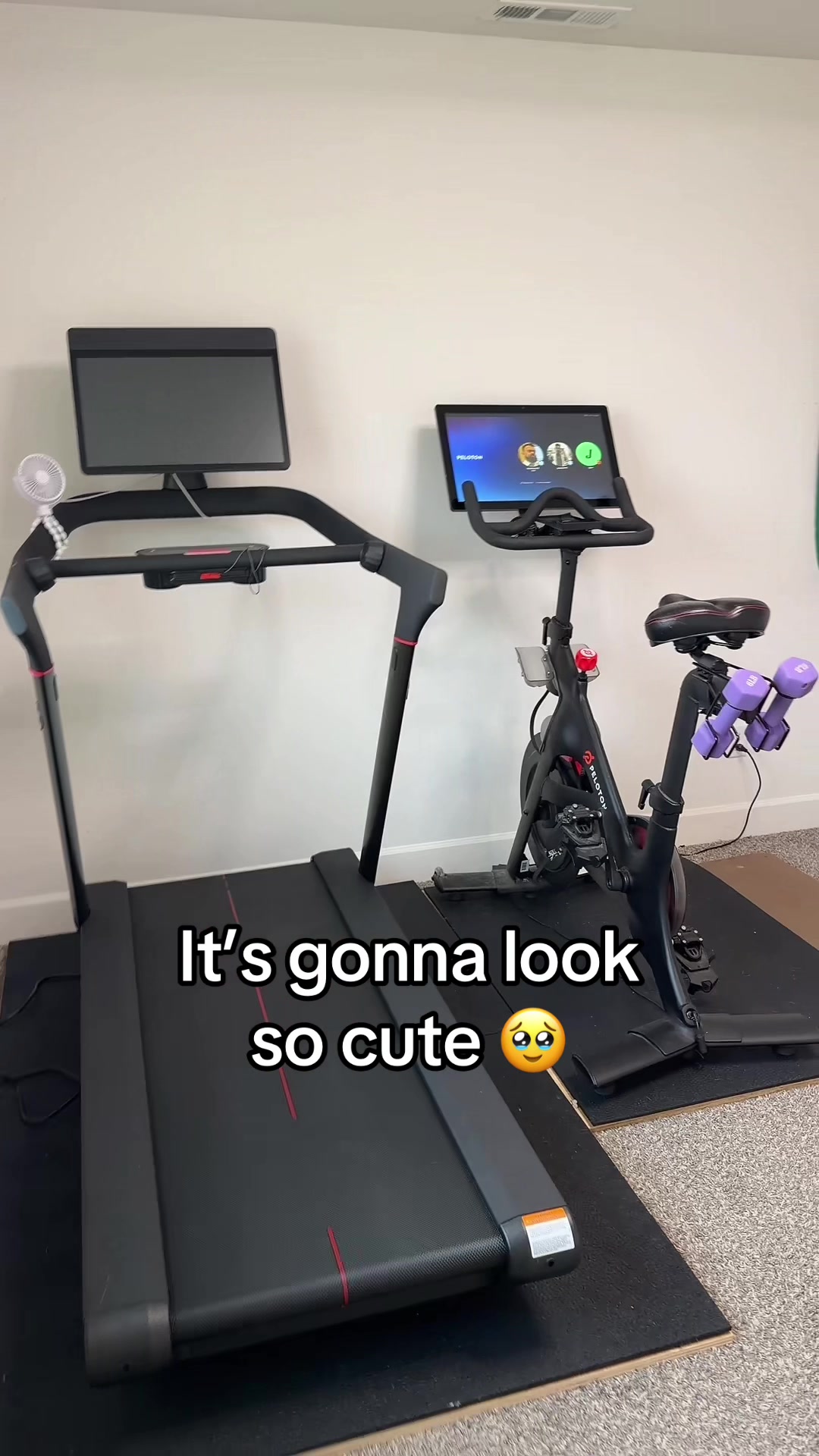 @josesit00000