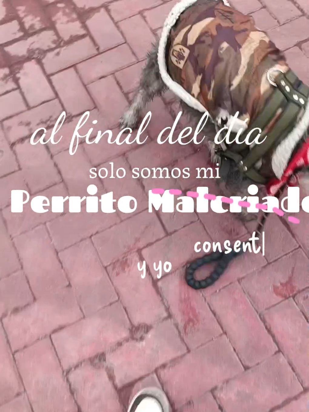 @Zoila Rata