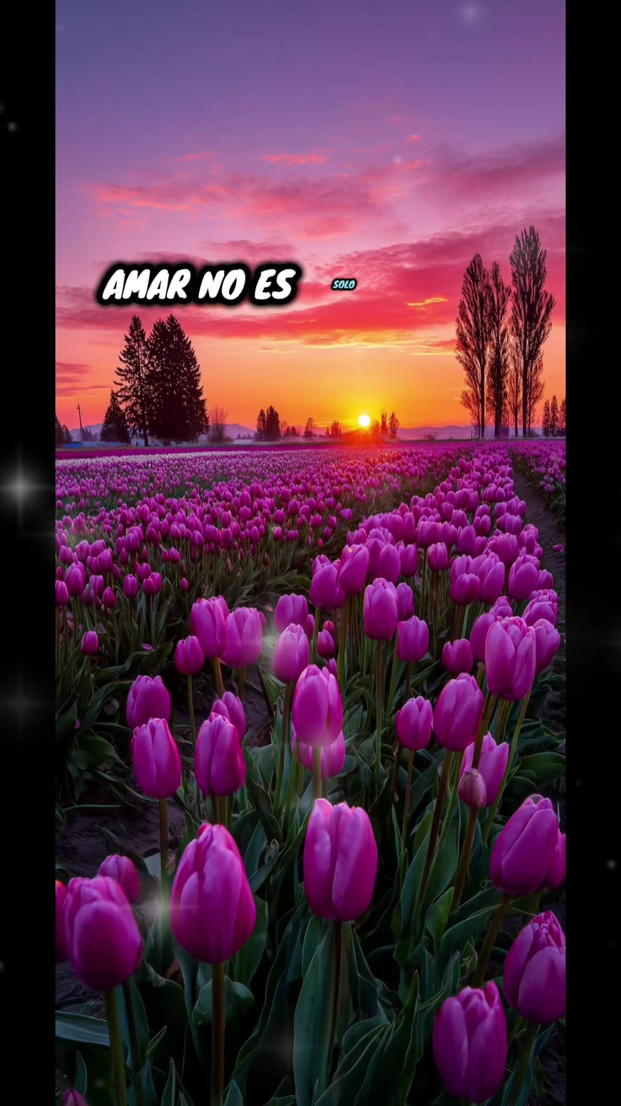 @Franklyn Jimenez