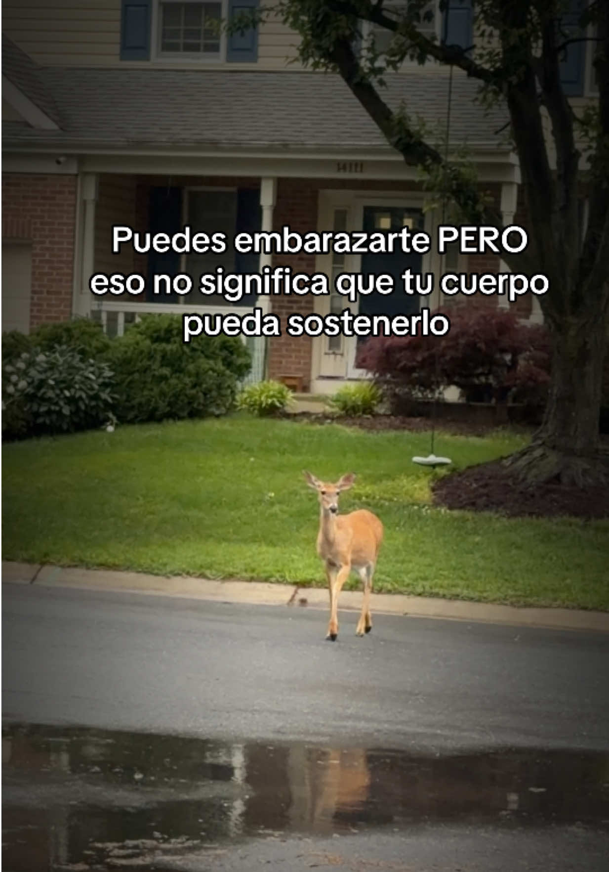 @Feriel Contreras Nutricionista