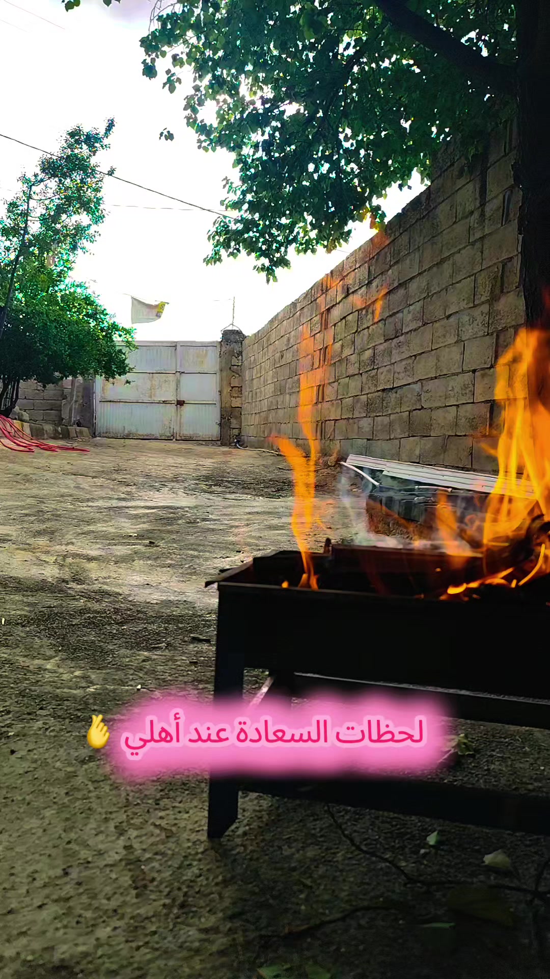 @🦋فراشة ئلبي🦋