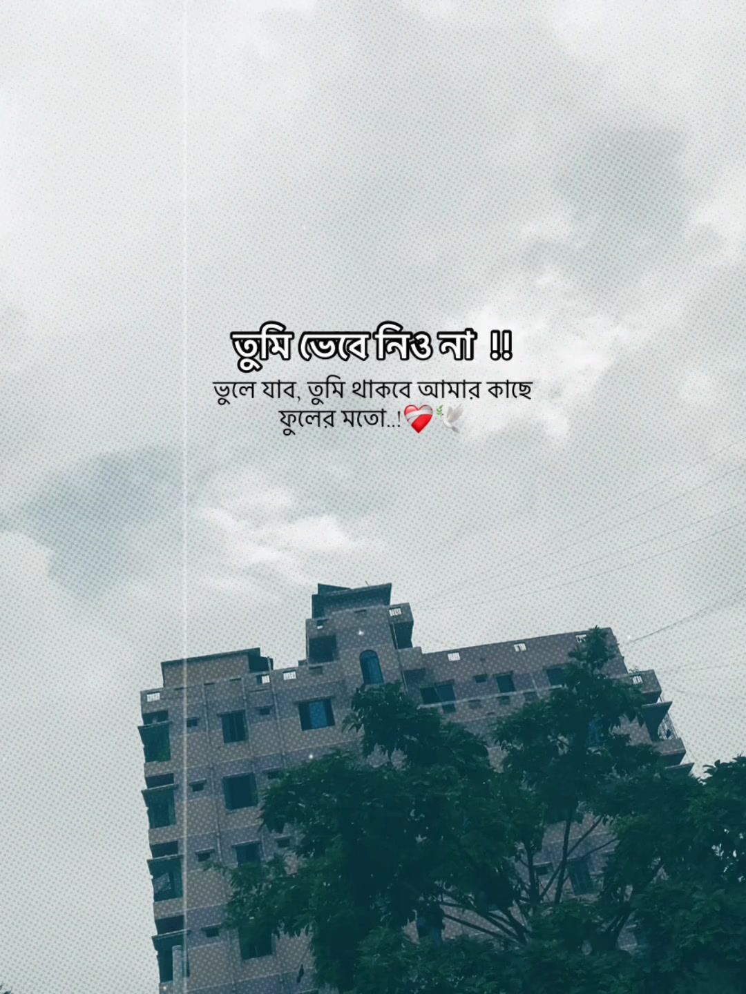 @ɴᴀᴘᴀ✿ᴇxᴛʀᴀツ