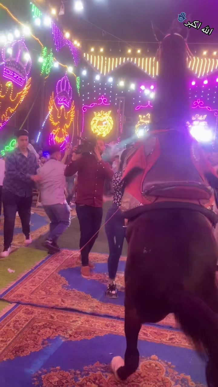 @الكابتن عبير🐎🥇🏆