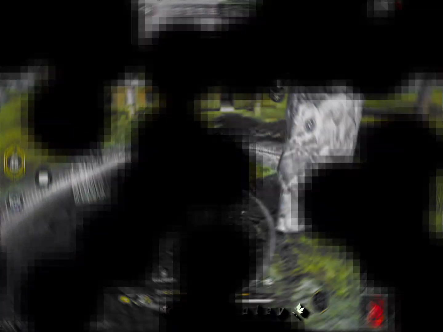 @your kaley🥷