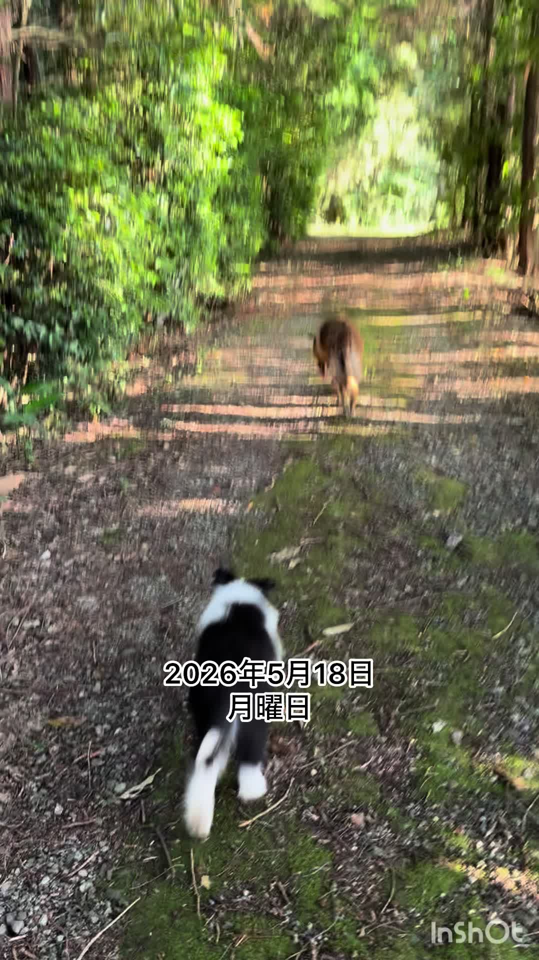 @ミウラ&bull;リョーコ(イーツカ&bull;リョーコ)
