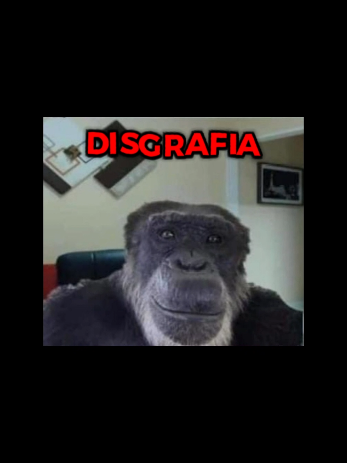 @Sacola