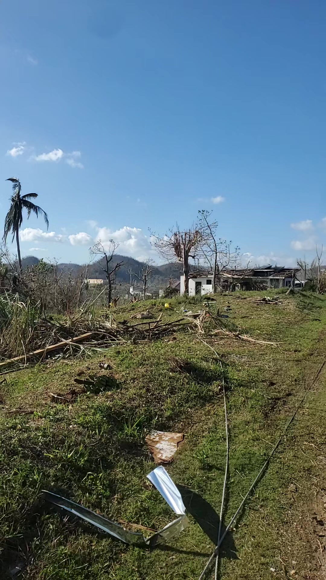 @Shanczbell