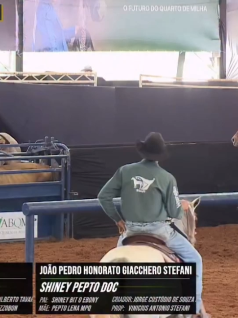 @Team Roping Brasil