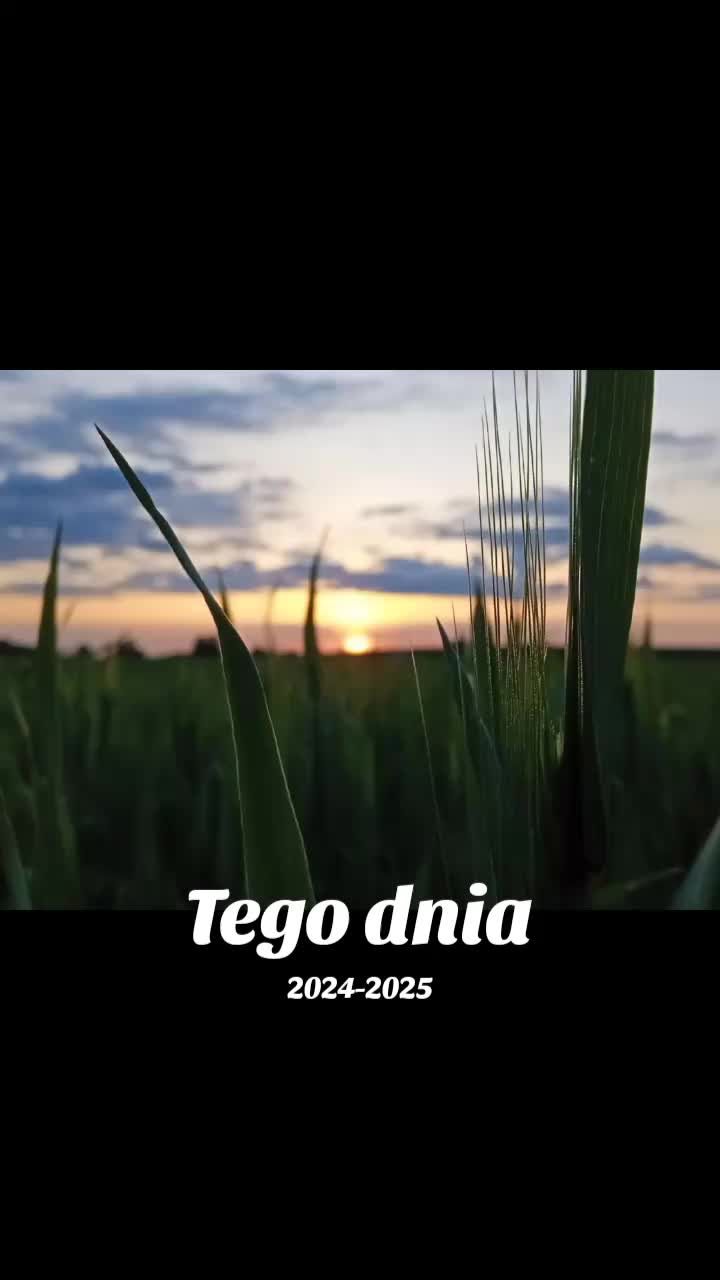 @Jaskółeczka 💫💫💫💫