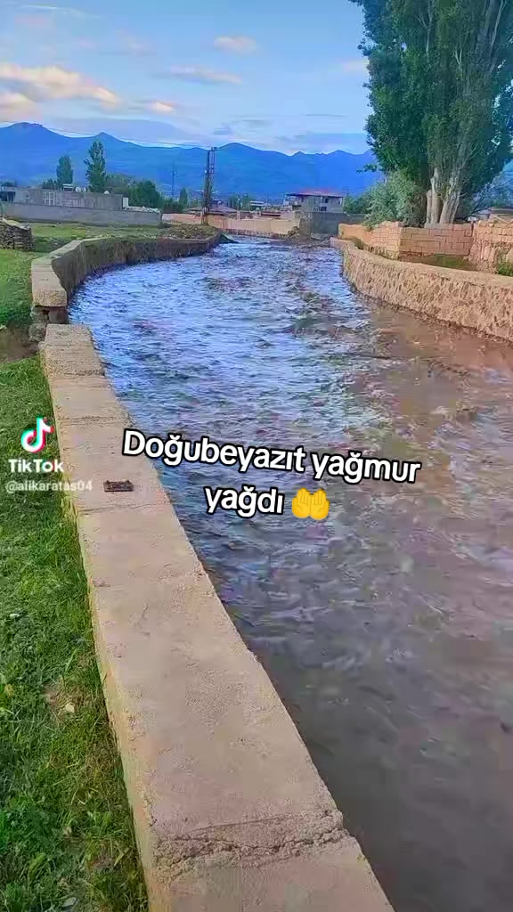 @bazidli adem04