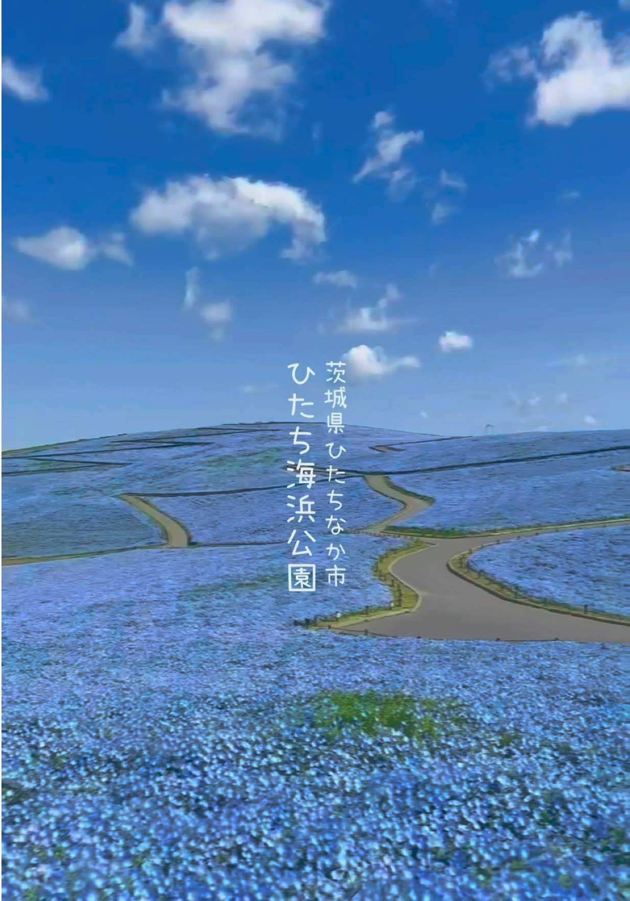 @けん/茨城の絶景