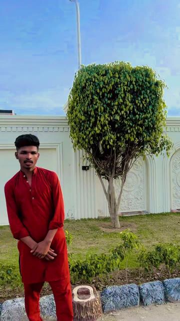 @cheesa Bacha gg 555