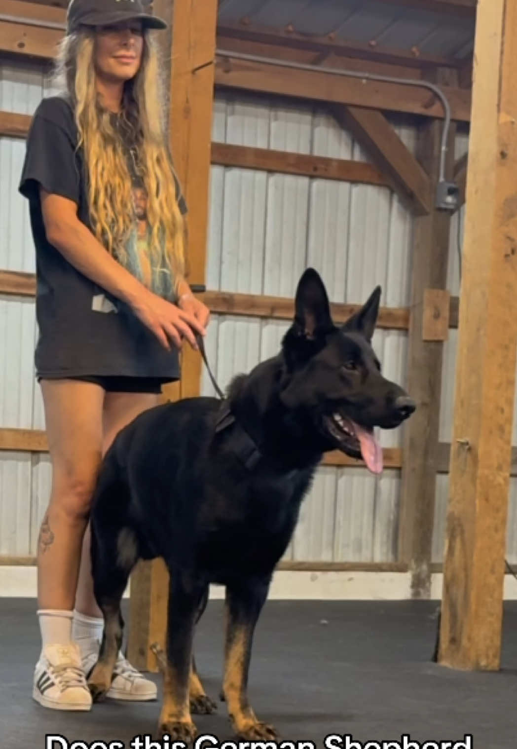 @True Guard K9 I Tara
