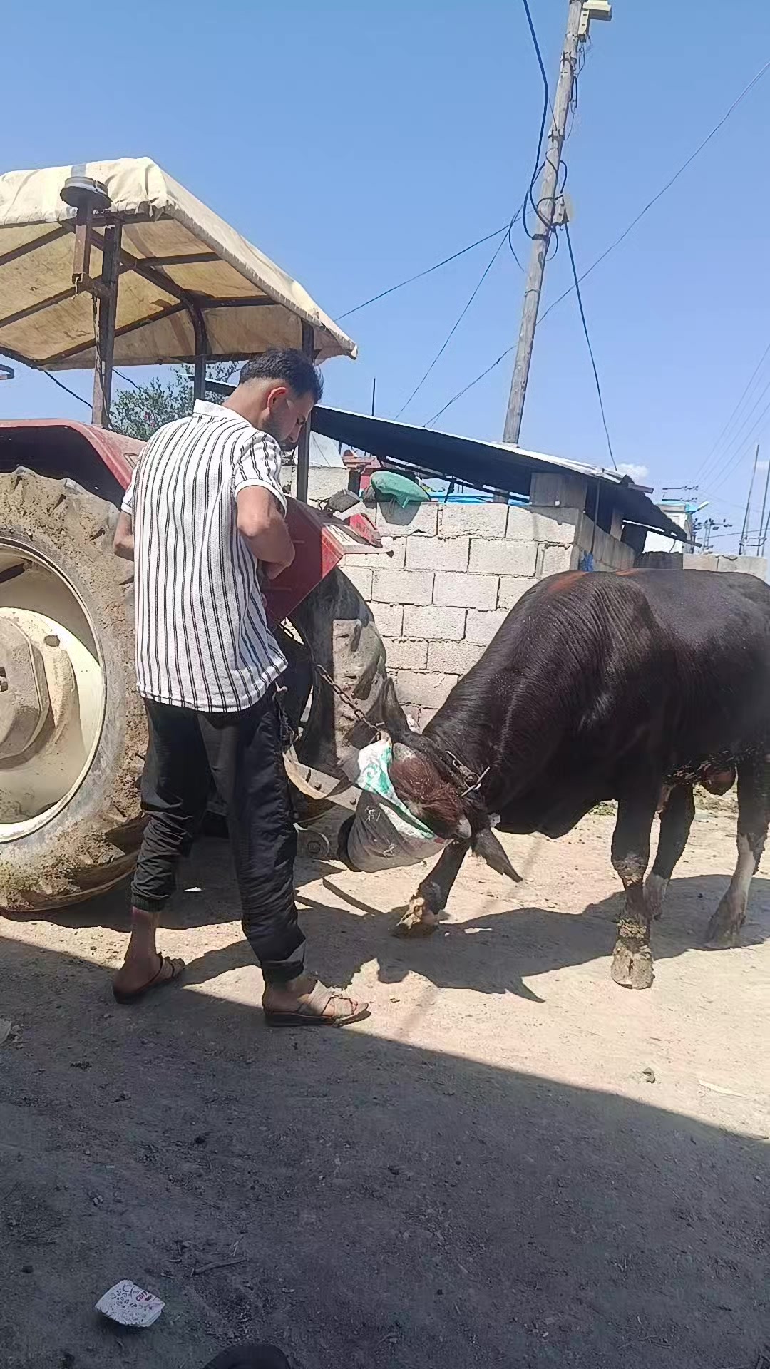 @Ahmet Göçmez