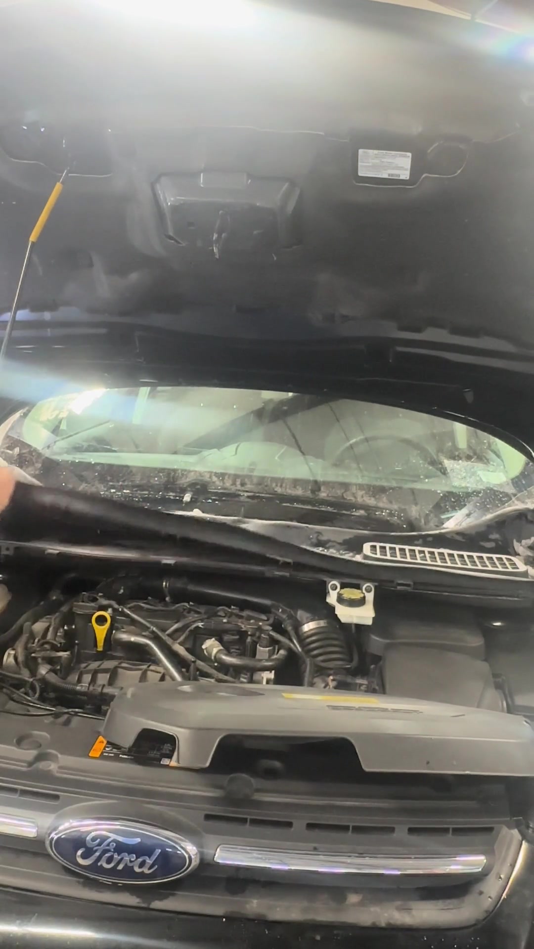 @qualityautodave
