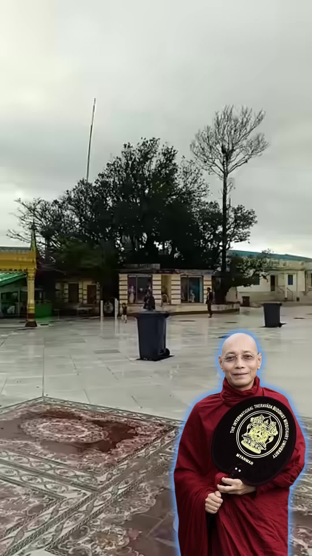 @maxinethomas19771