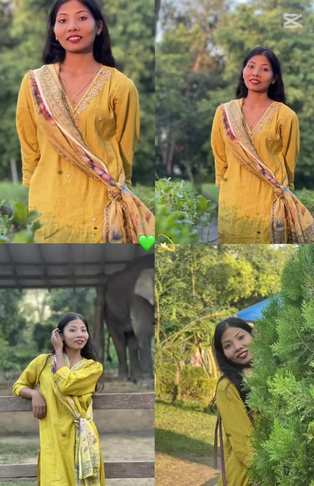 @🦚
