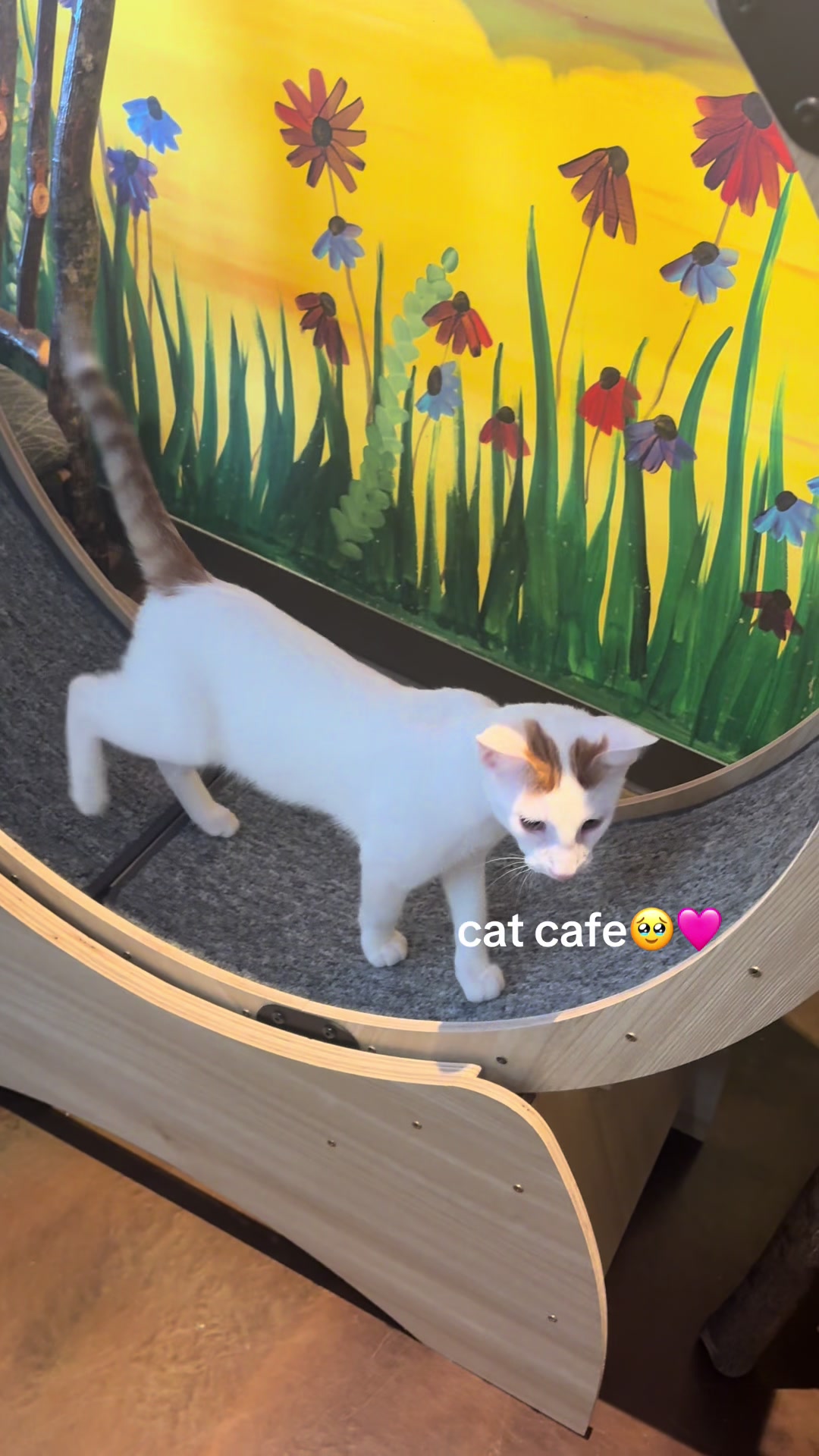 @maryyy🍄🧚🌙🐈⬛