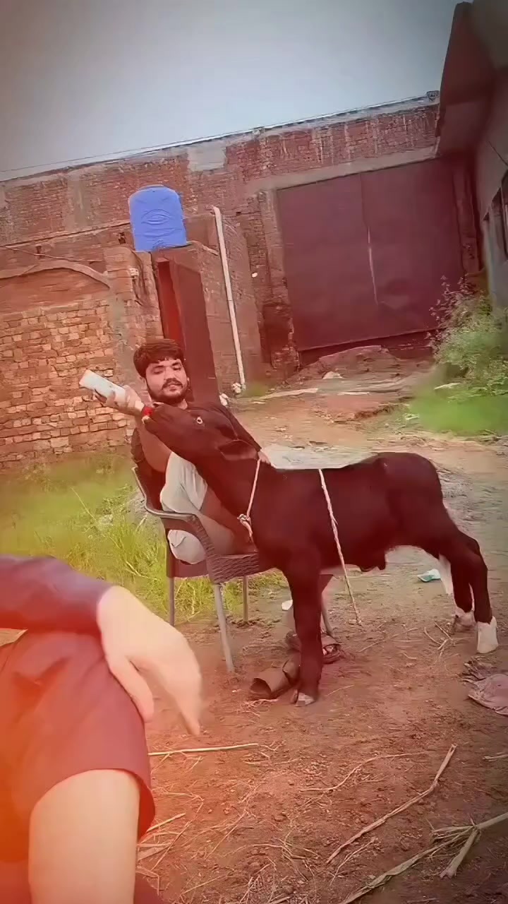 @Mr_zaheer_08