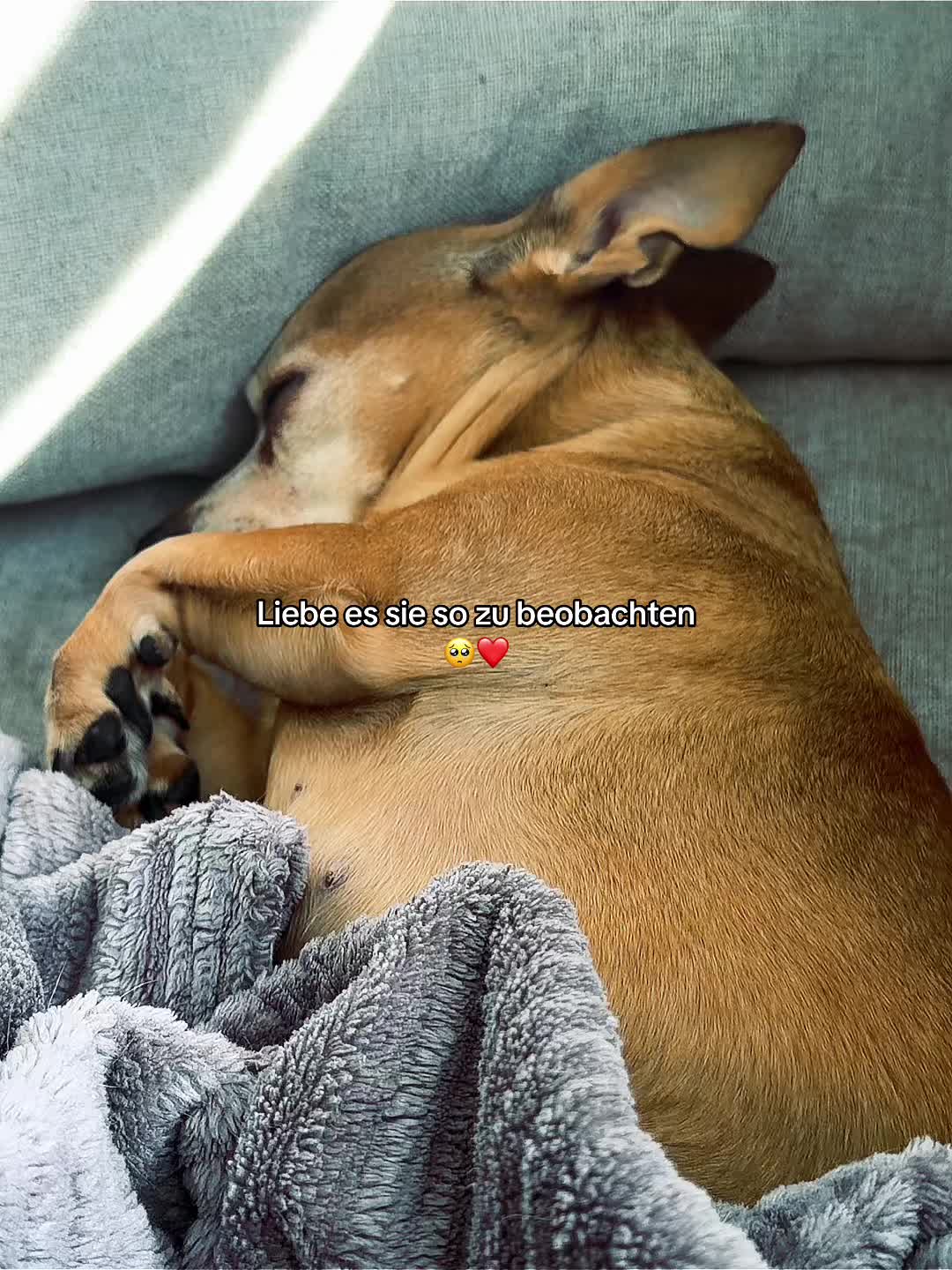 @graziexxa26