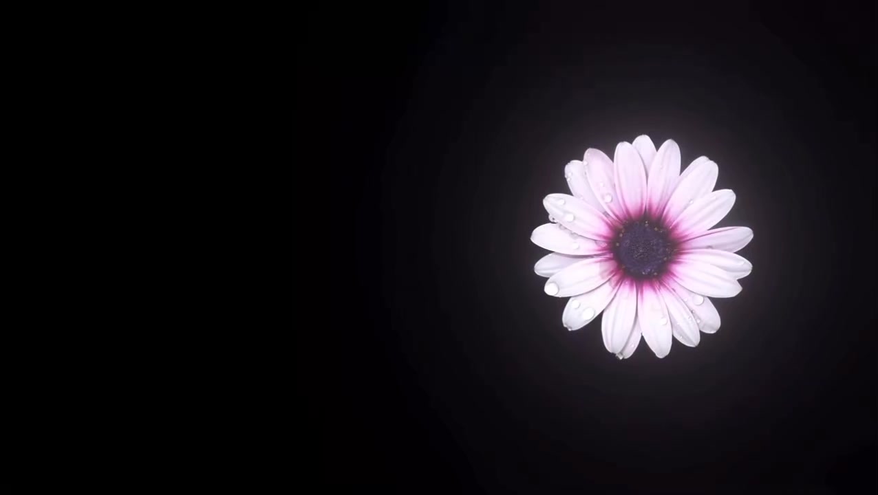 @Jennifer L ๐ค